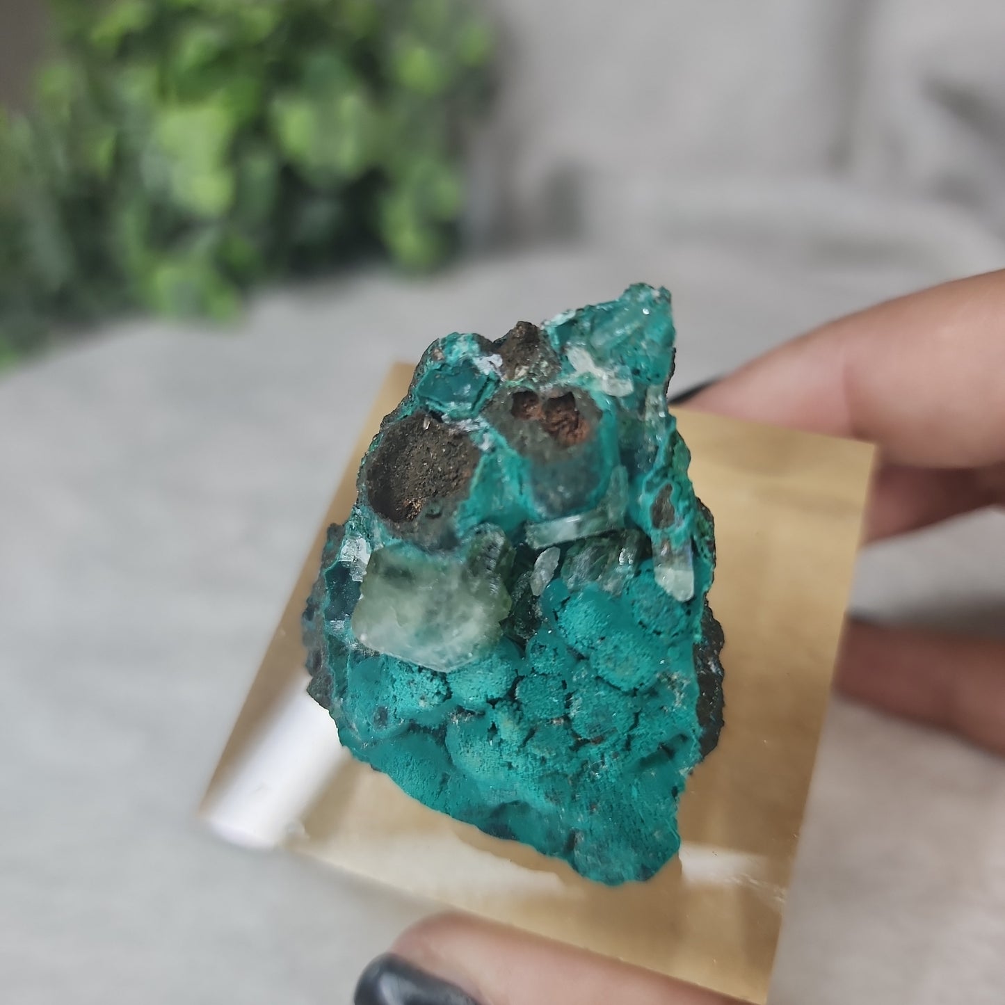 Barite on Chrysocolla & Malachite