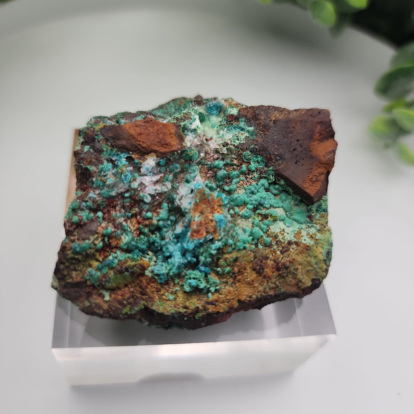 Conichalcite & Rosasite on Limonite