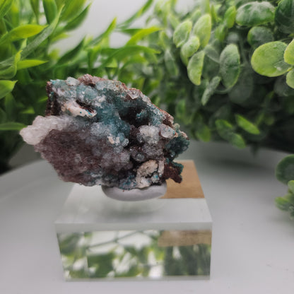 Conichalcite & Rosasite on Limonite