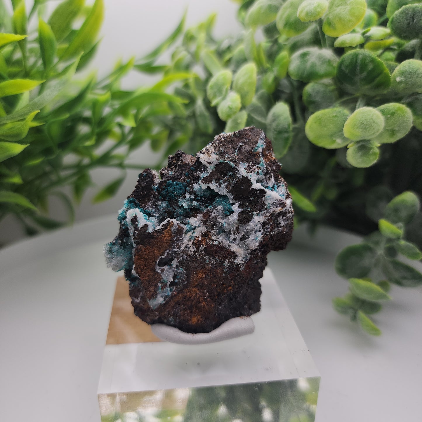 Conichalcite & Rosasite on Limonite