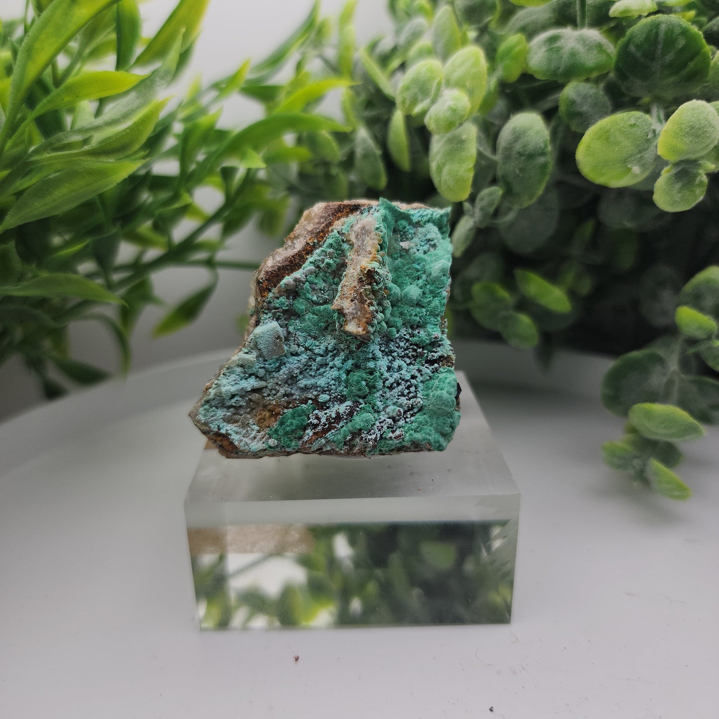 Conichalcite & Rosasite on Limonite