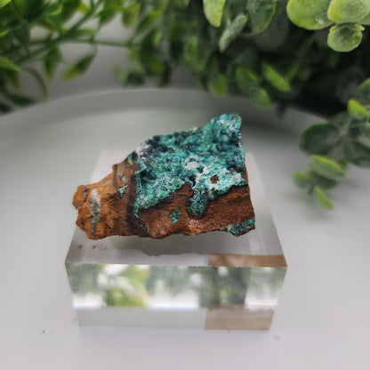 Conichalcite & Rosasite on Limonite