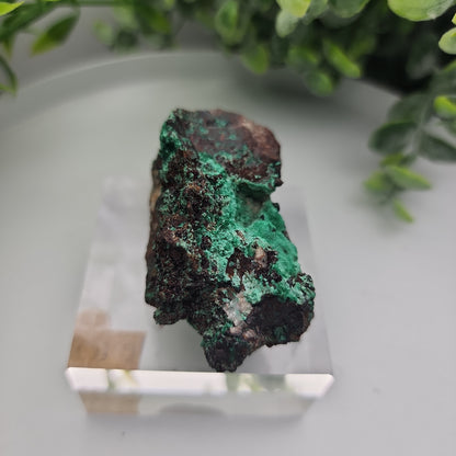 Conichalcite & Rosasite on Limonite