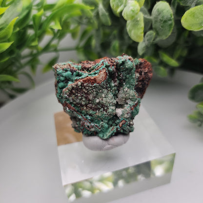 Conichalcite & Rosasite on Limonite