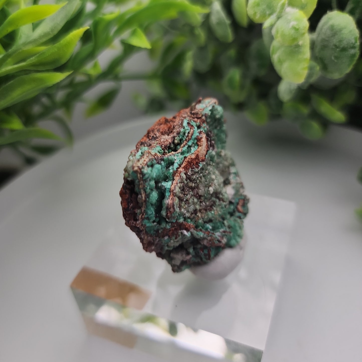 Conichalcite & Rosasite on Limonite