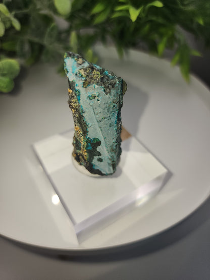 Tentadora Chrysocolla on Quartz