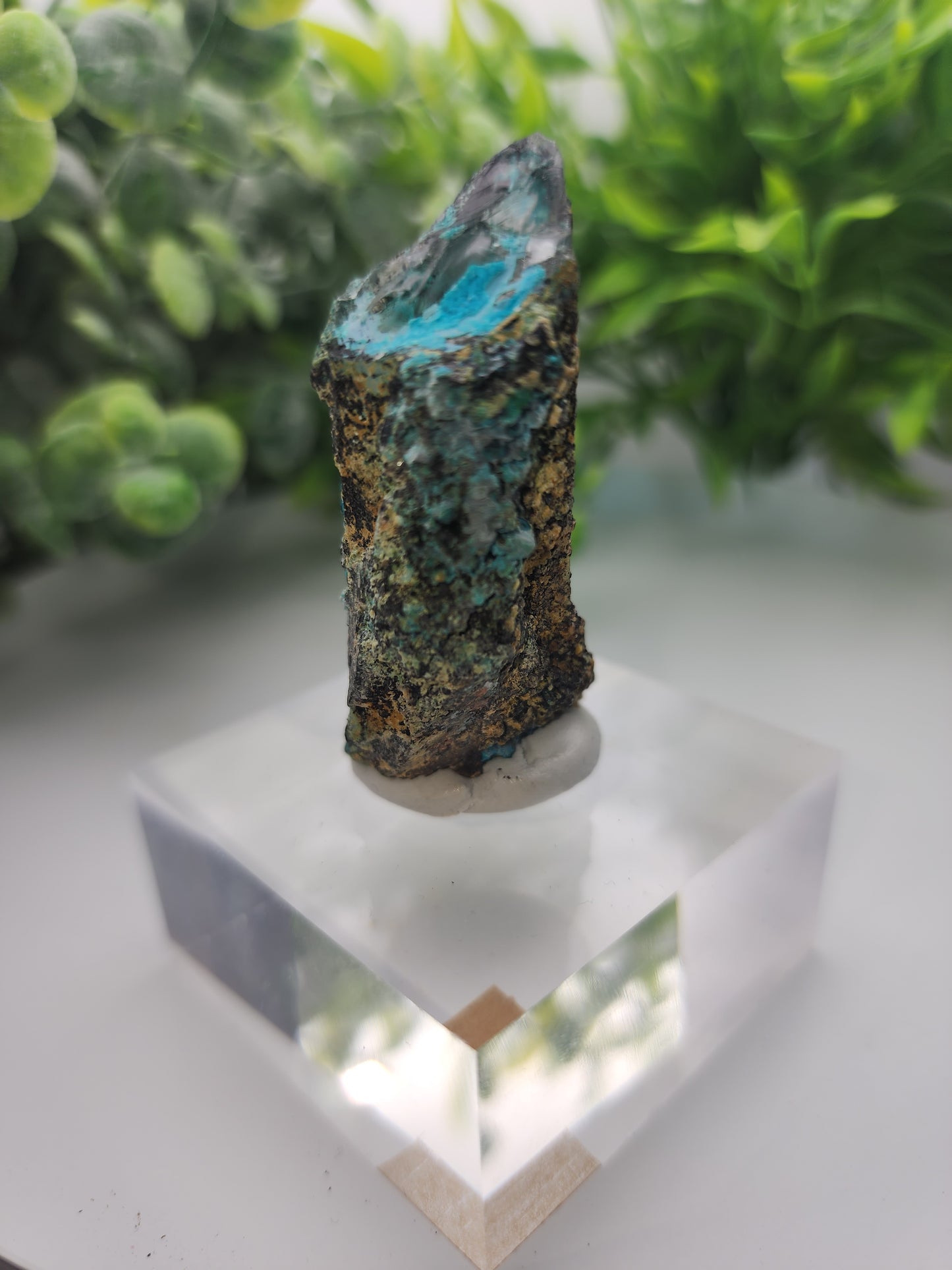 Tentadora Chrysocolla on Quartz