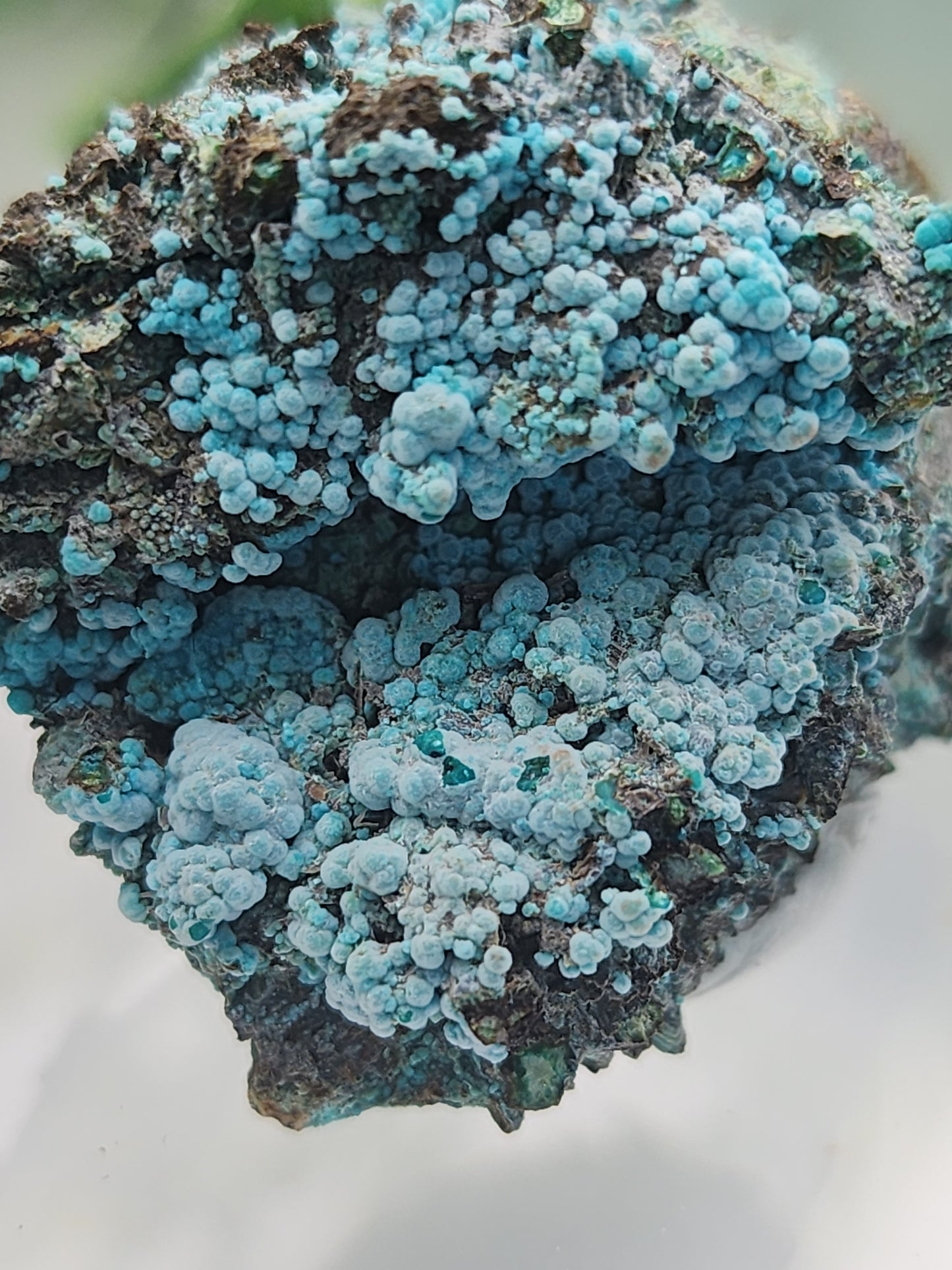 Tentadora Chrysocolla on Quartz