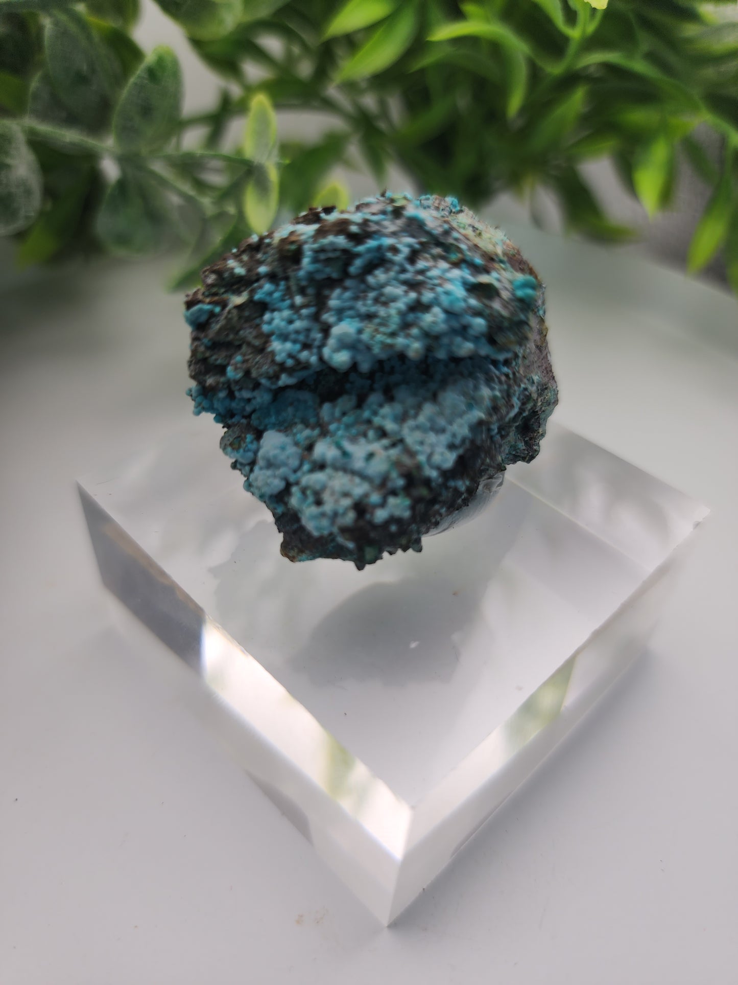 Tentadora Chrysocolla on Quartz